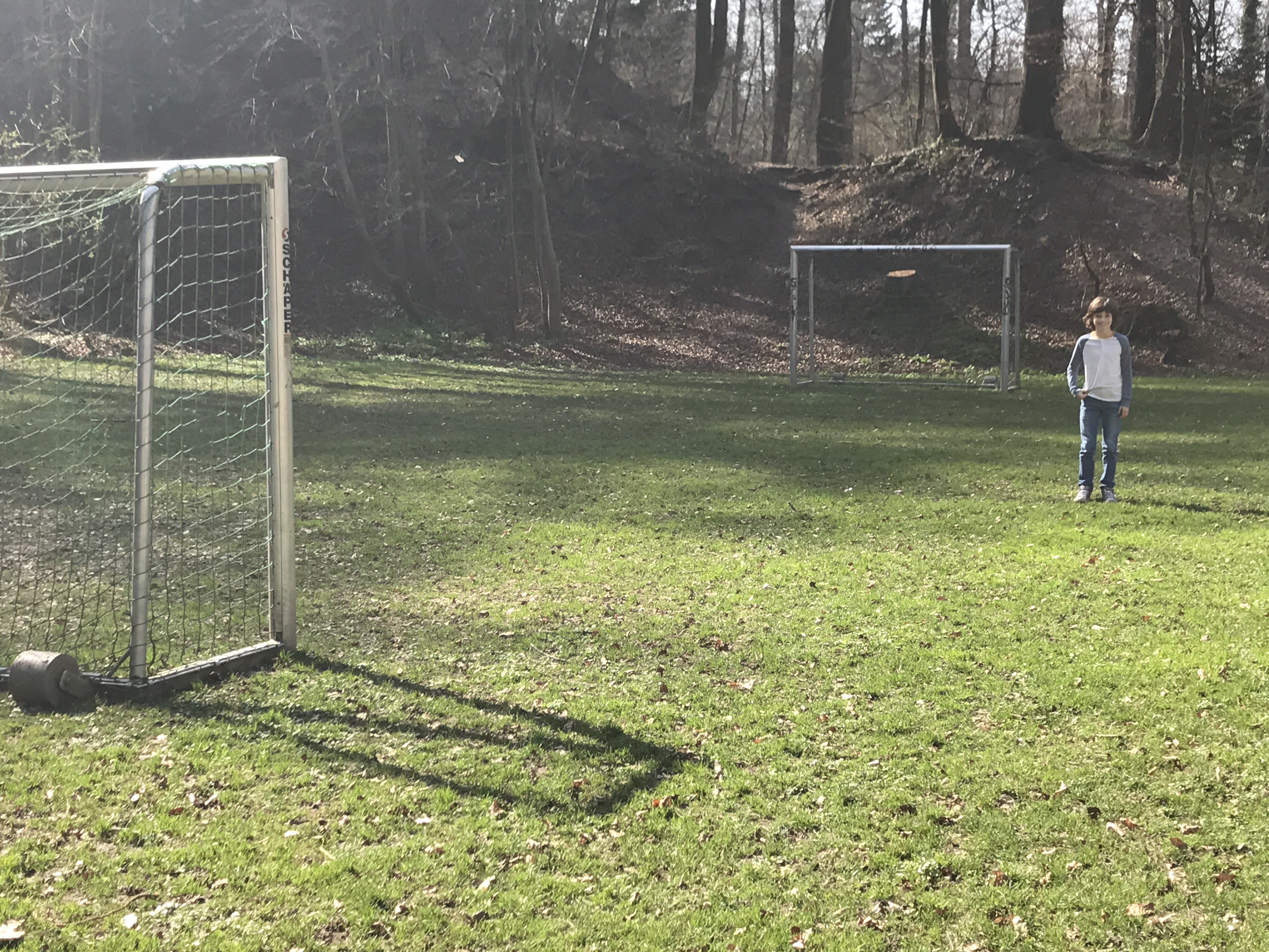 Open grassy field with soccer goals and wooded background.